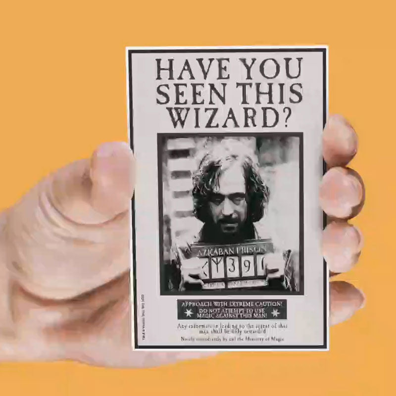 Harry Potter készlet 4 különböző lencse alakú mágnesből-4