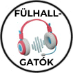 Fülhallgatók