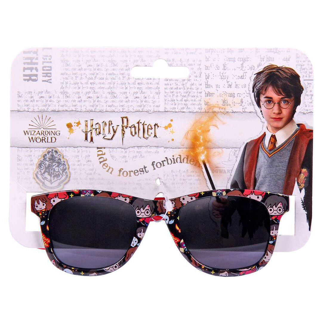 Harry Potter sunglasses-2